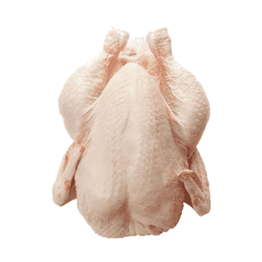 Shrimp